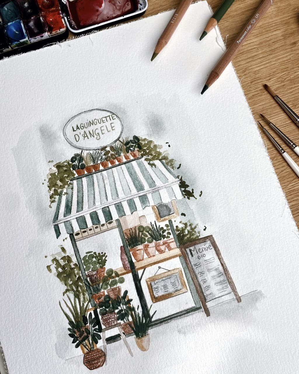 Livestream: Pflanzenladen